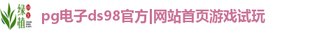 pg电子官方网站